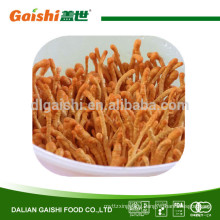 Herbal Medicine High Quality Chinese caterpillar fungus